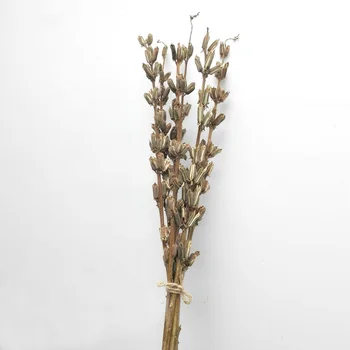 10vnt natūralių džiovintų gėlių puokštės natūralių džiovintų Sezamo lazdele kekių&gingili lazdele puokštės