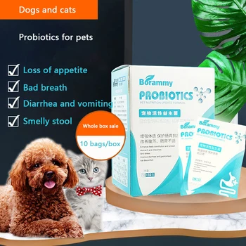 Šunys ir katės probiotikai augintinio virškinimo lobis šuniukai, katės specialios viduriavimas ir vėmimas, virškinimo kondicionavimo sistema